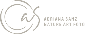 Adriana Sanz Logo