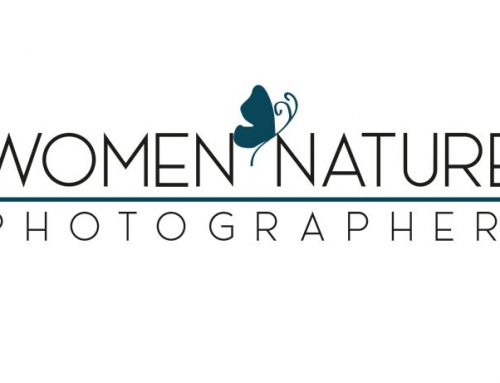 Cofundadora de las women nature photographers