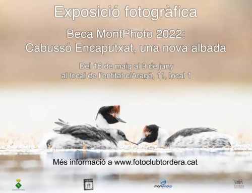Exposición en Tordera, Cataluña