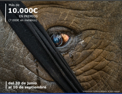 Jurado en el CONCURSO FOTOGRÁFICO «NATURE AND HUMANS»